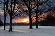 morning sunrise