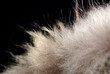 fashion fashion