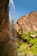 Photo: waterfalls in zion nationalpark with red sandstone waterfalls in zion nationalpark with red sandstone