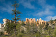 Photo: trees and bushes on front of the red sandstone at bryce canyon trees and bushes on front of the red sandstone at bryce canyon