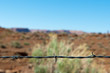 Photo: barbed wire fence made of steel in front of desert and blue sky barbed wire fence made of steel in front of desert and blue sky