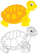 Tortoise