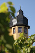 detail in rheinhessen