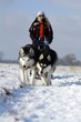 Sport mit Hunden im Winter