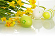 Easter eggs and flowers Easter eggs and flowers