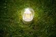Foto: led lamp on the grass led lamp on the grass
