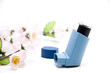 Inhaler mit Blütenzweig