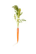 Fresh carrot isolated on a white studio background. Fresh carrot isolated on a white studio background.