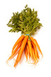 Fresh carrots isolated on a white studio background. Fresh carrots isolated on a white studio background.