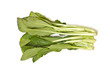 Choi Sum leaves isolated on a white studio background. Choi Sum leaves isolated on a white studio background.
