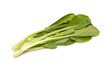 Choi Sum leaves on a white studio background. Choi Sum leaves on a white studio background.
