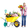 Gardening.