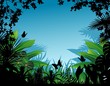 Tropical Forest Background Tropical Forest Background