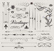 Vektor: vector calligraphic elements vector calligraphic elements