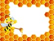Bee cartoon with honey comb