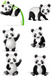 Panda cartoon Panda cartoon