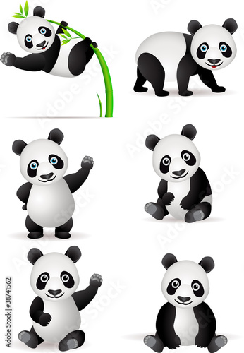Vector: Panda cartoon Panda cartoon