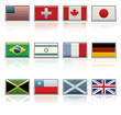 Vector Flag Icons