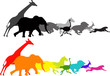 Wild Animal Racing Wild Animal Racing