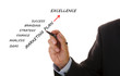 strategy business plan to excellence