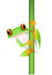 Vektor: Funny Frog Cartoon Funny Frog Cartoon
