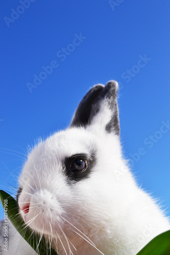Foto: Hase Hase