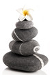 Spa Stones