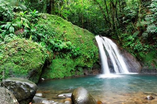 Photo: Cascade en foret tropicale Cascade en foret tropicale