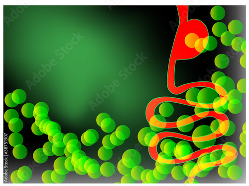 Vector: Digestion concept Digestion concept