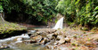 Cascade tropicale