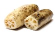 lotus root