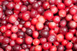 background of Cranberry