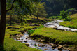 Mountain river