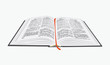 Open book. Vector eps10 illustration.