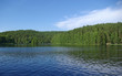 Forest lake