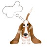 the dog Basset Hound