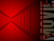 film strip