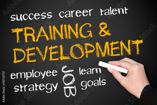 Illustration: Training and Development Training and Development