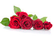 Foto: Red rose on the white Red rose on the white