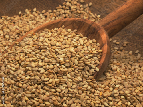 Photo: Sesame Seeds Sesame Seeds