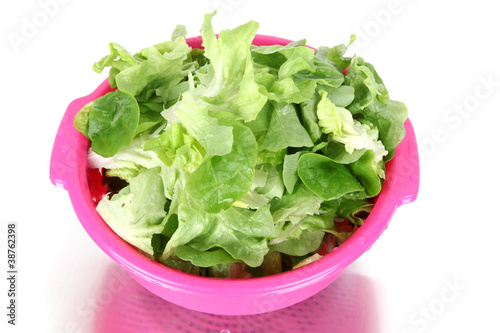 Photo: Salat frisch geputzt Salat frisch geputzt