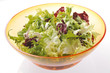 Insalata