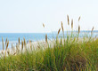 Am Meer - At the Beach