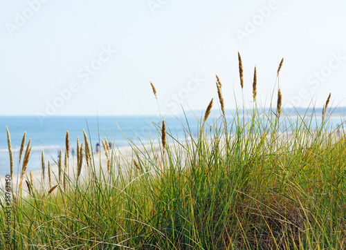 Photo: Am Meer - At the Beach Am Meer - At the Beach