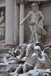 white rome