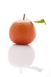 Foto: Mandarine mit Blatt Mandarine mit Blatt