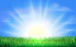 Sunrise over green field of grass