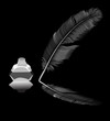 feather in inkstand isolated on black