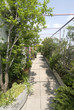 terrazzo nel verde
