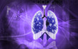 Human lungs